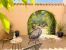 mas 10 Rooms for seasonal rent on LE CASTELLET (83330)