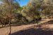 buildable land for sale on AUBAGNE (13400)